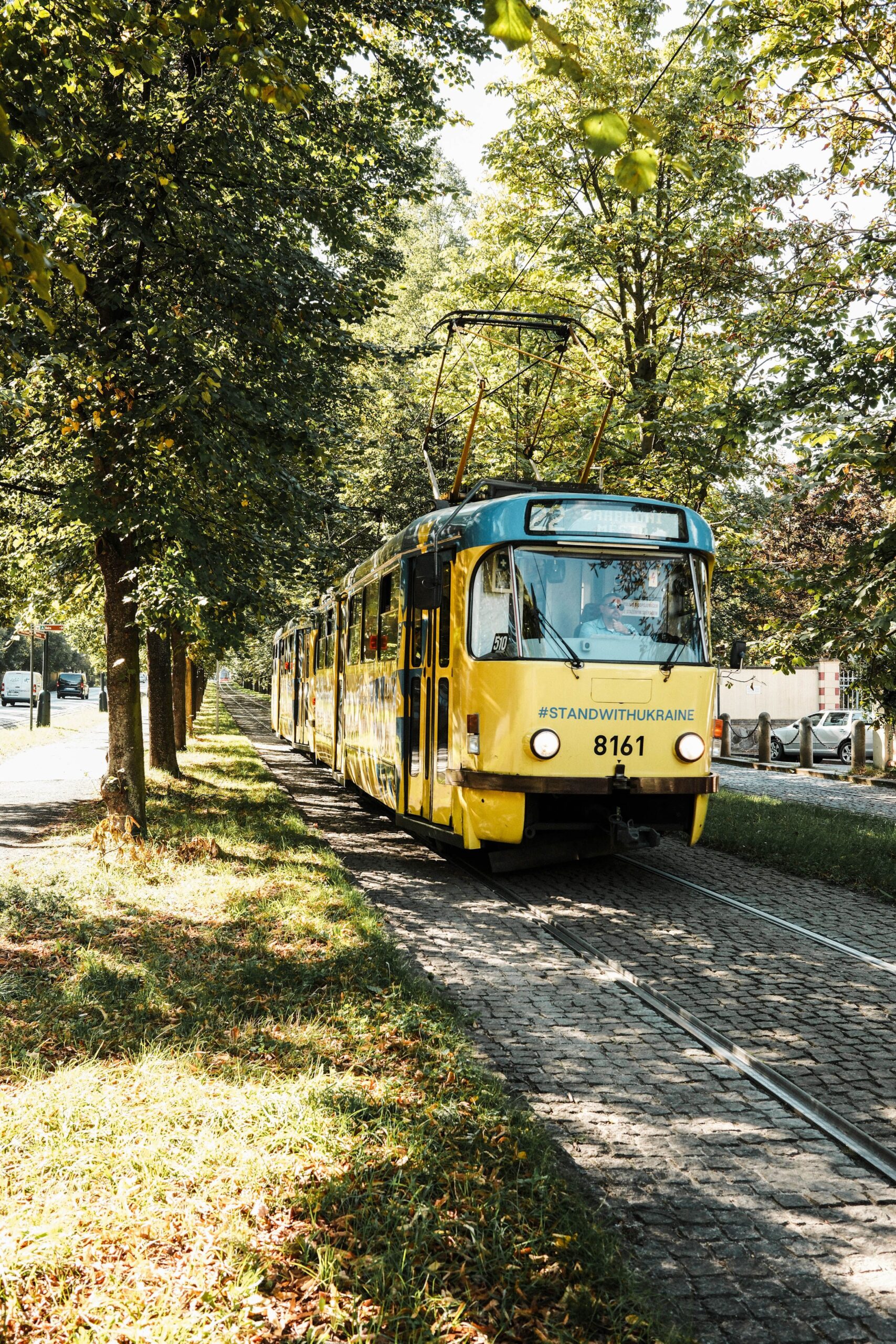 pexels airamdphoto 35044560